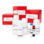 Merck ARGINASE ACTIVITY ASSAY KIT