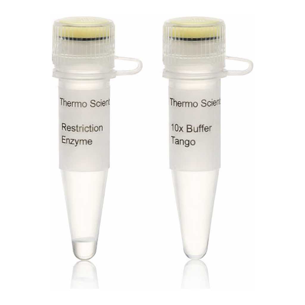 Thermo Fisher Scientific TscAI (TspRI) (10 U/&mu;L)