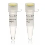 Thermo Fisher Scientific TscAI (TspRI) (10 U/μL)