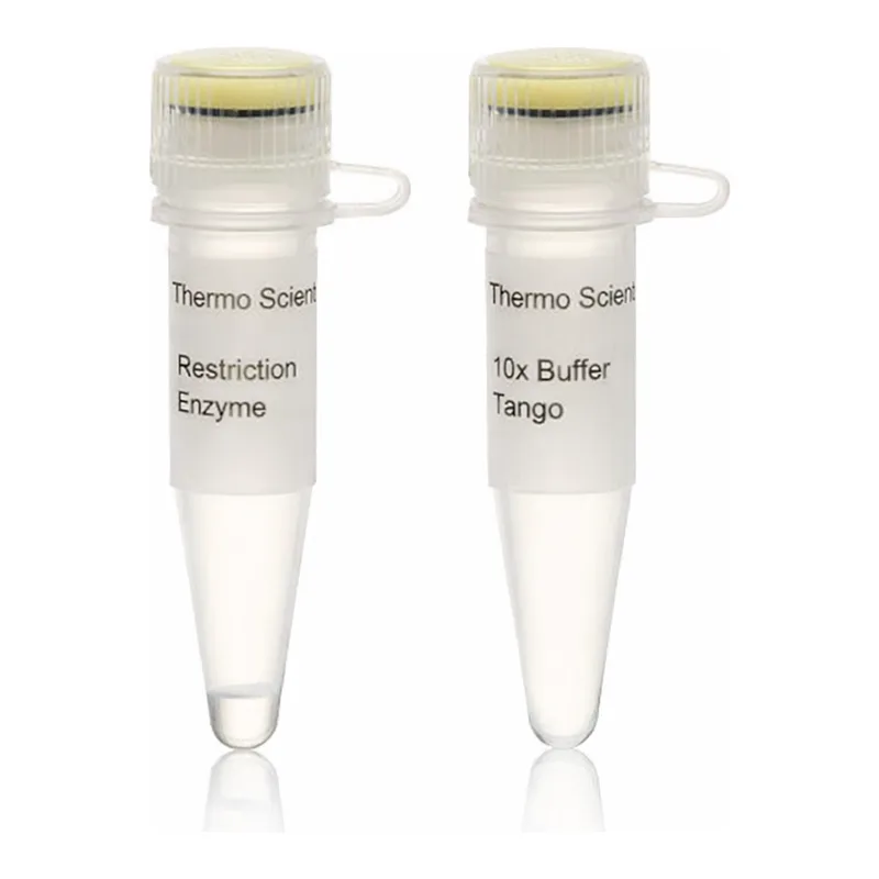 Thermo Fisher Scientific TscAI (TspRI) (10 U/μL)