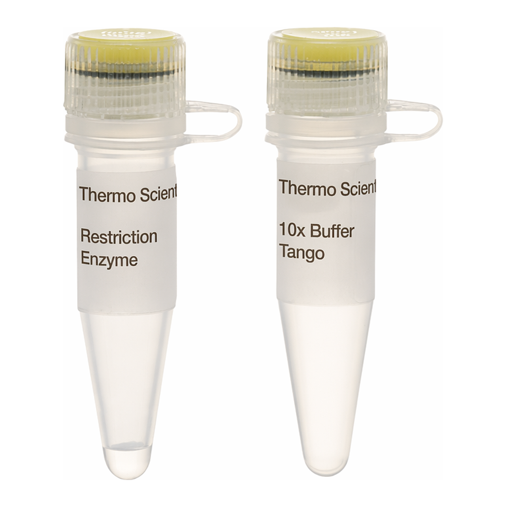 Thermo Fisher Scientific AluI (10 U/&mu;L), 600 units