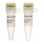 Thermo Fisher Scientific AluI (10 U/μL), 600 units