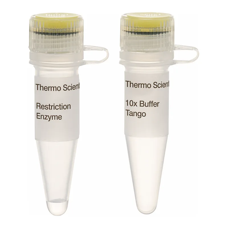 Thermo Fisher Scientific AluI (10 U/μL), 600 units