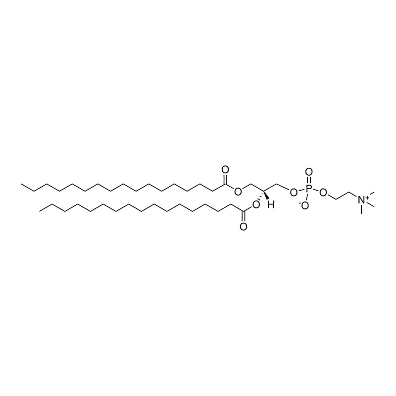 Merck 17:0 PC