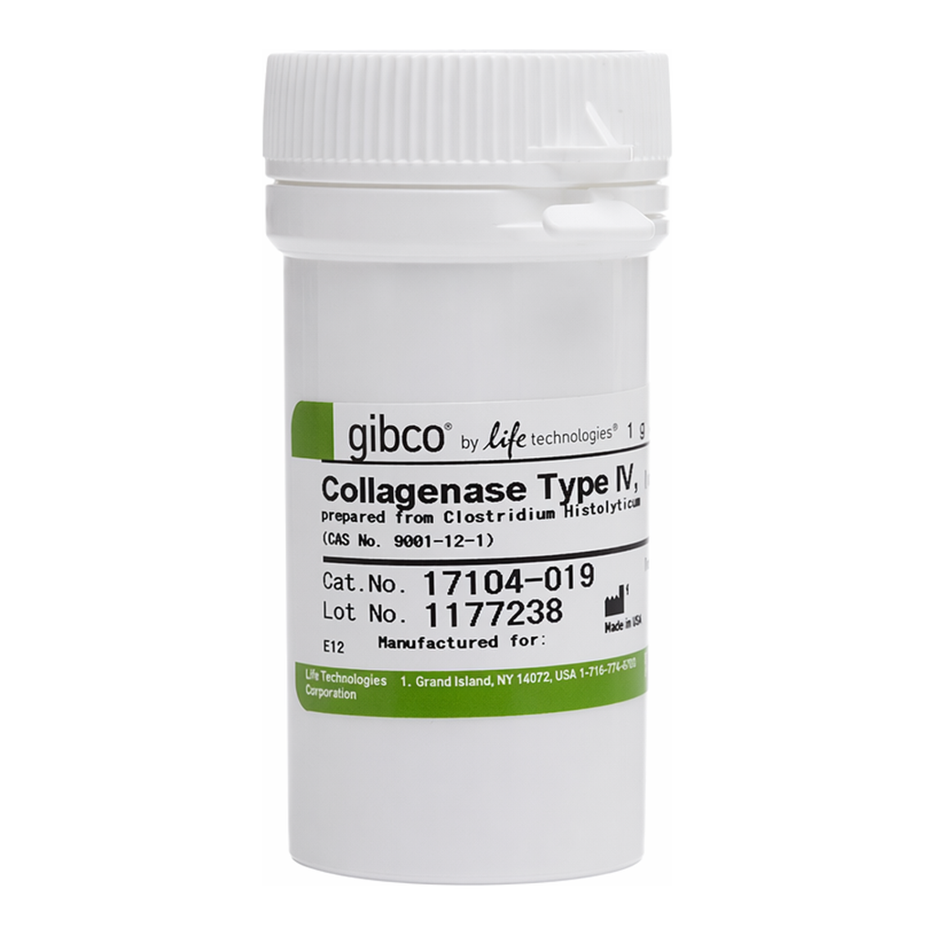 Thermo Fisher Scientific Collagenase, Type IV, powder