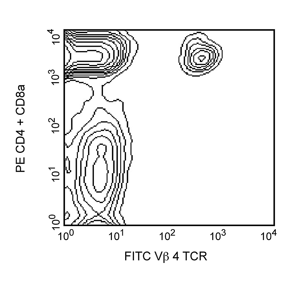 BD FITC Rat Anti-Mouse Vβ4 T-Cell Receptor