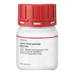 Merck LIPASE FROM PORCINE PANCREAS, TYPE II&