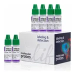 Thermo Fisher Scientific NucGreen Dead 488 ReadyProbes Reagent (SYTOX Green)