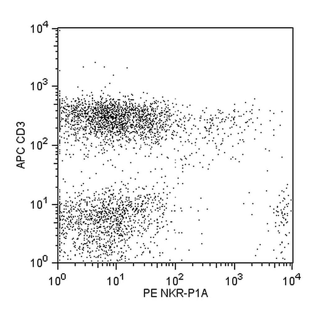 BD Rat T/B/NK Cell Cocktail