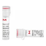 Merck MISSION(R) esiRNA