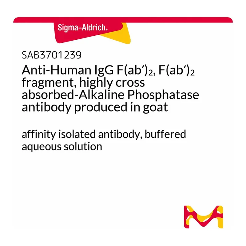 Merck Anti-Human IgG F(ab')2, F(ab')2 fragment, highly cross absorbed-Alkaline Phosphatase antibody produced in goat
