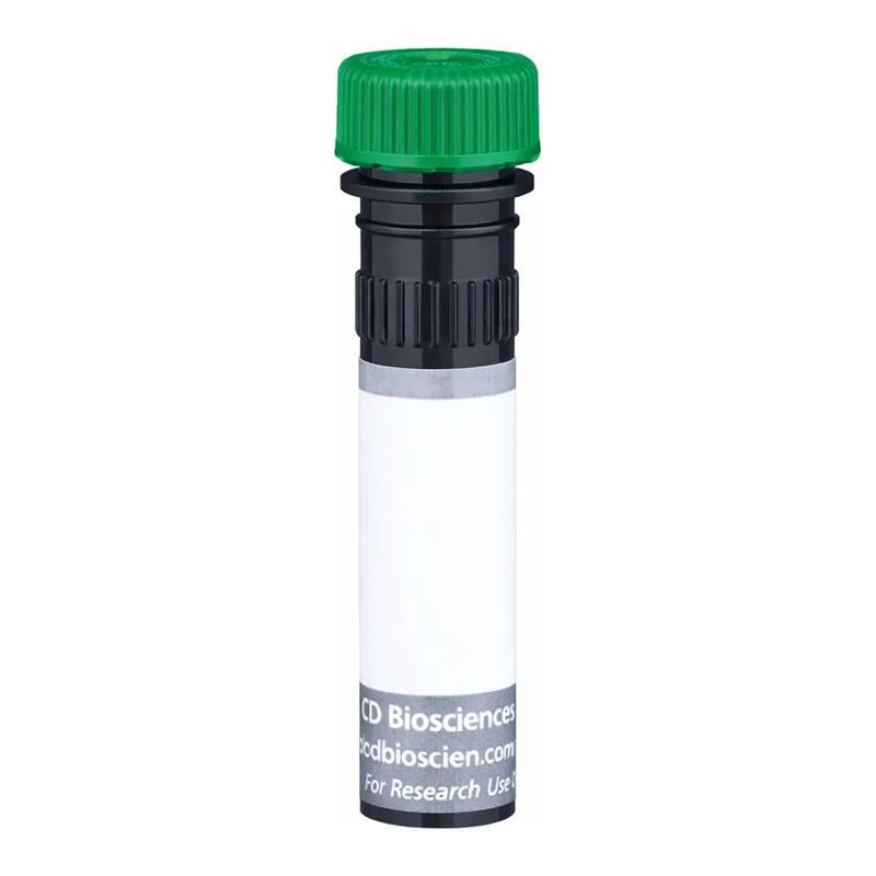 BD BUV563 Mouse Anti-Human Chondroitin Sulfate (NG2)