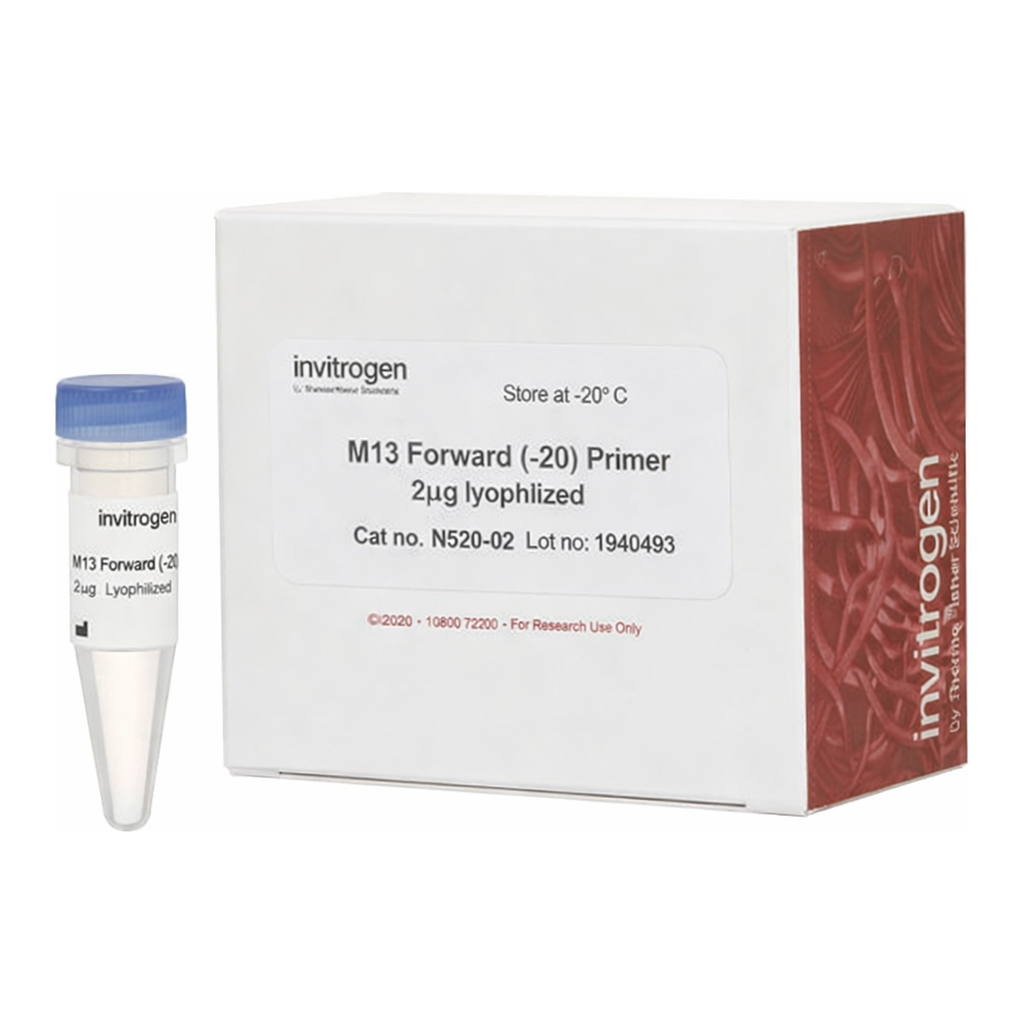 Thermo Fisher Scientific M13 Forward (-20) Primer