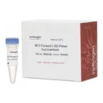 Thermo Fisher Scientific M13 Forward (-20) Primer