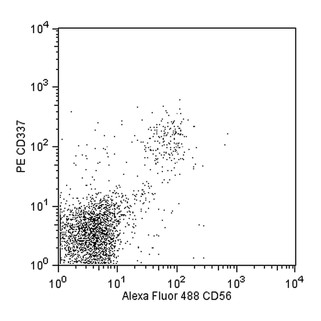 BD PE Mouse anti-Human CD337 (NKp30)