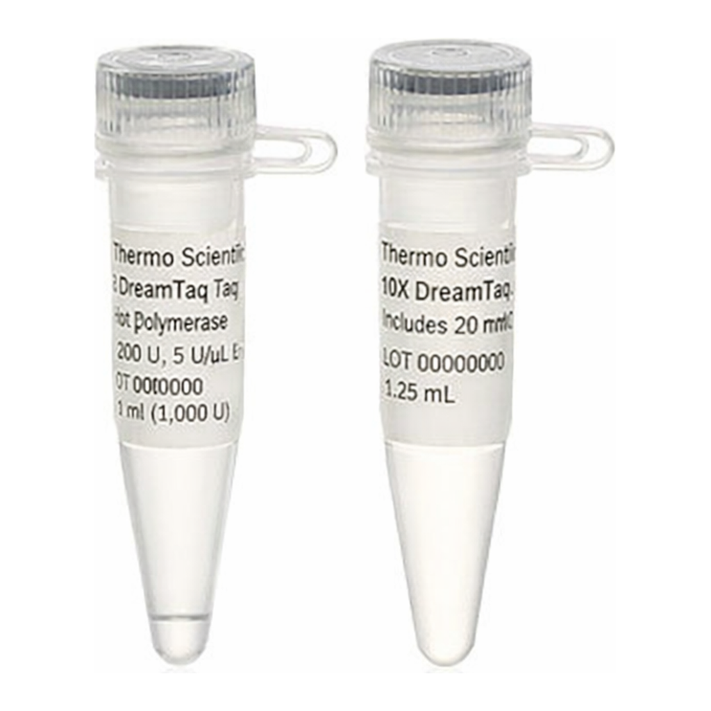 Thermo Fisher Scientific DreamTaq Hot Start DNA Polymerase, 200 U