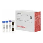 Thermo Fisher Scientific MIP-1A Non-Human Primate ProcartaPlex Simplex Kit