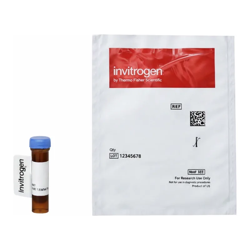 Thermo Fisher Scientific Alexa Fluor 555 Azide, Triethylammonium Salt