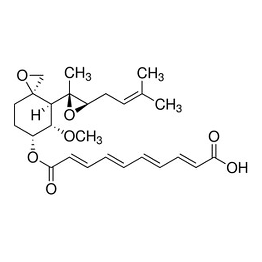 Merck FUMAGILLIN SOLUTION, 100 5G/ML IN ACETON