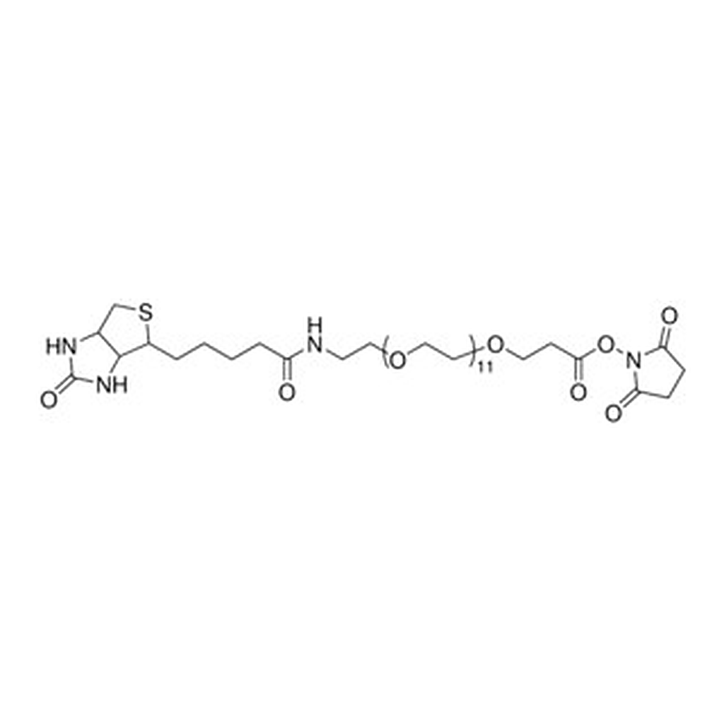 Merck NHS-DPEG(R) 12-BIOTIN&