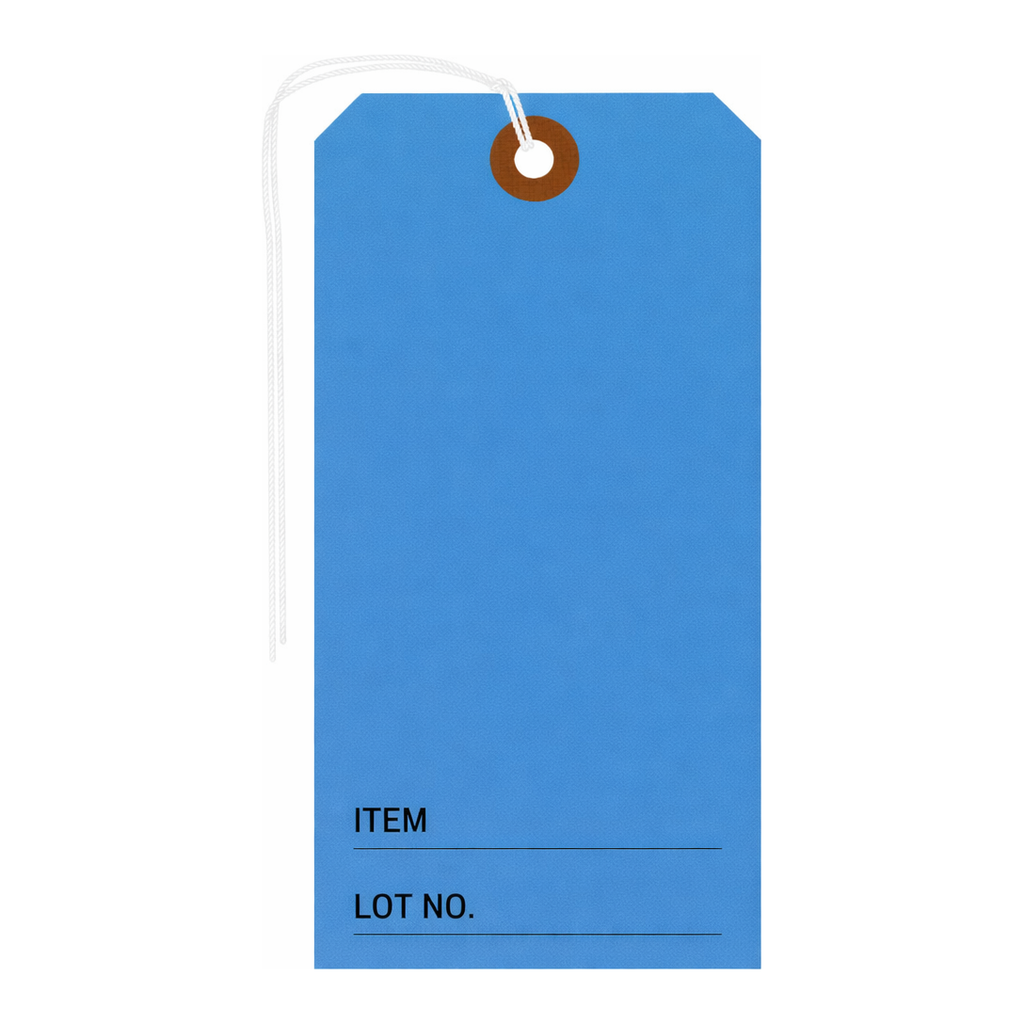 Brady Blank Heavy Duty Light Blue Tags