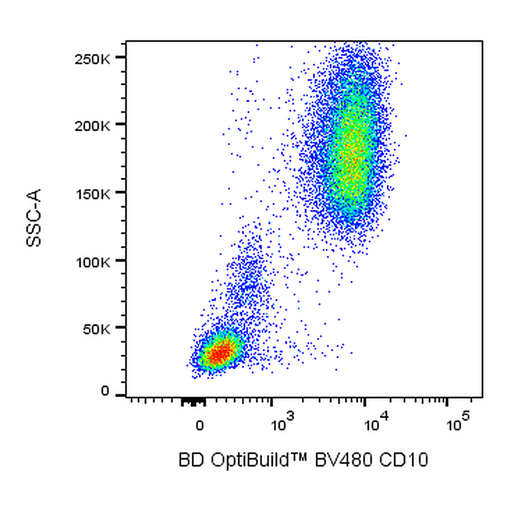 BD BV480 Mouse Anti-Human CD10