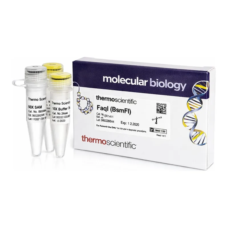 Thermo Fisher Scientific FaqI (BsmFI) (2 U/μL)