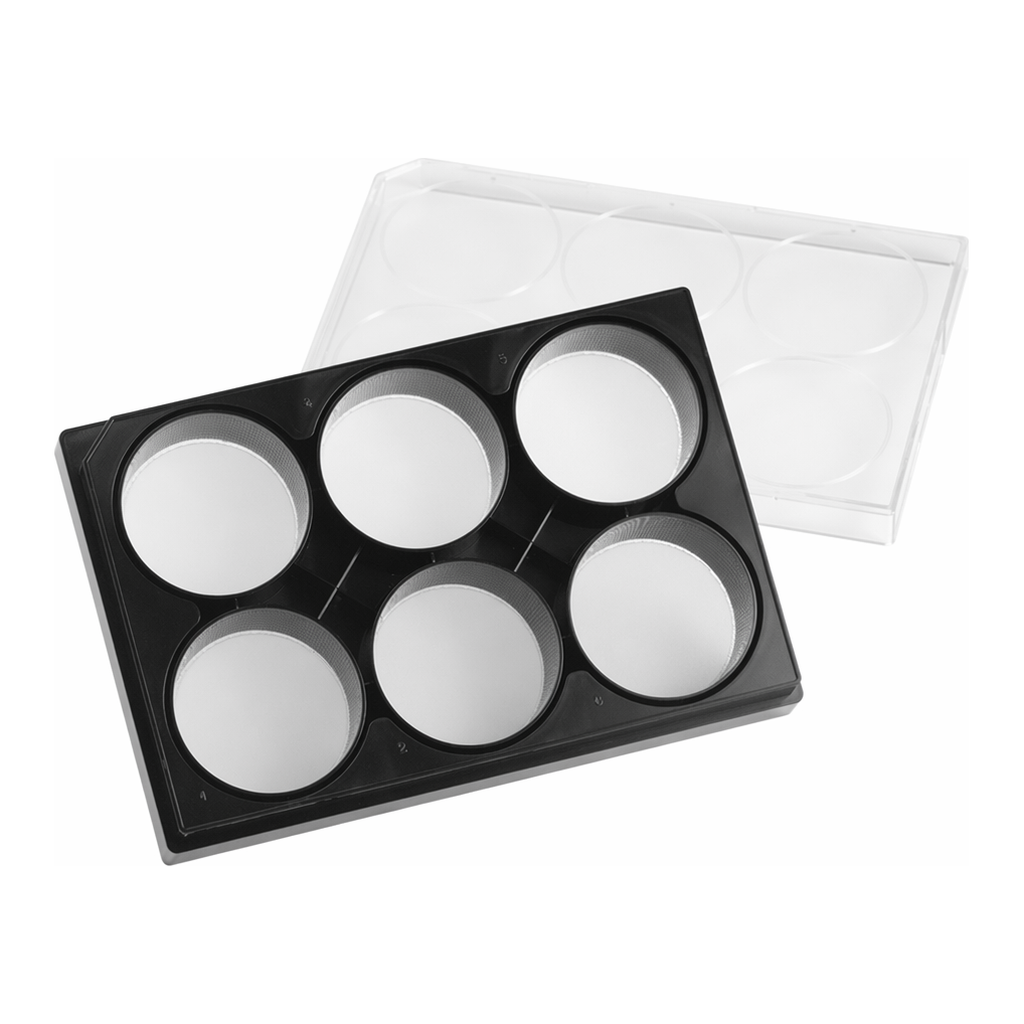 Merck Corning 6 Well Black Clear Round Bottom