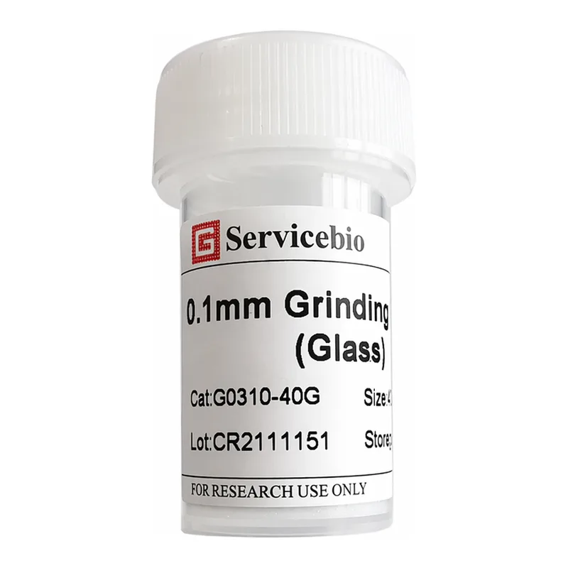 Servicebio Grinding Beads (Glass)