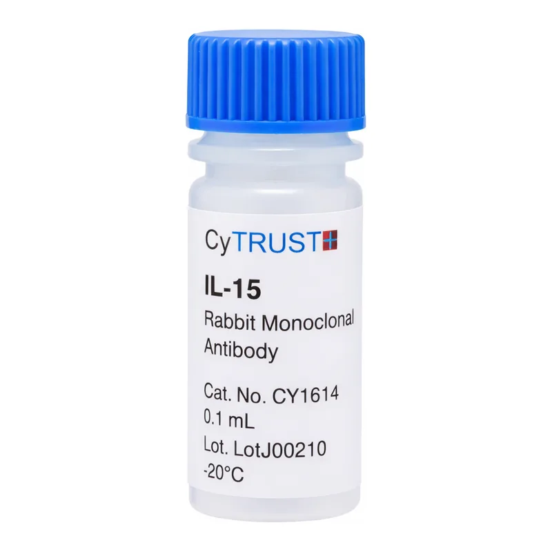 Merck Anti-CLEC11A antibody produced in rabbit