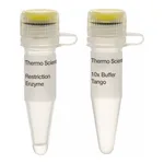Thermo Fisher Scientific MauBI (5 U/μL)