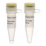 Thermo Fisher Scientific SmaI (10 U/μL), 1,200 units