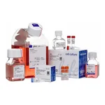 Thermo Fisher Scientific Expi293 Expression System Kit