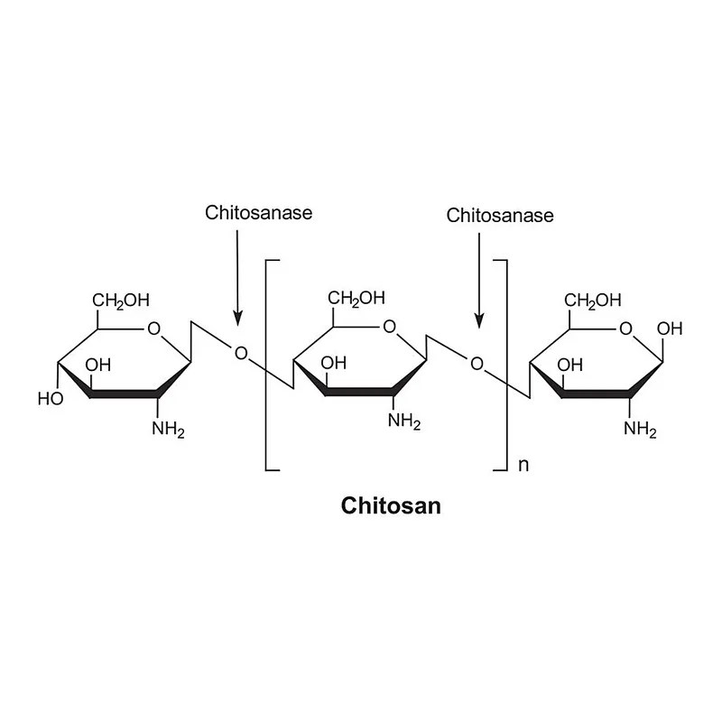 Merck Chitosanase from Streptomyces sp.