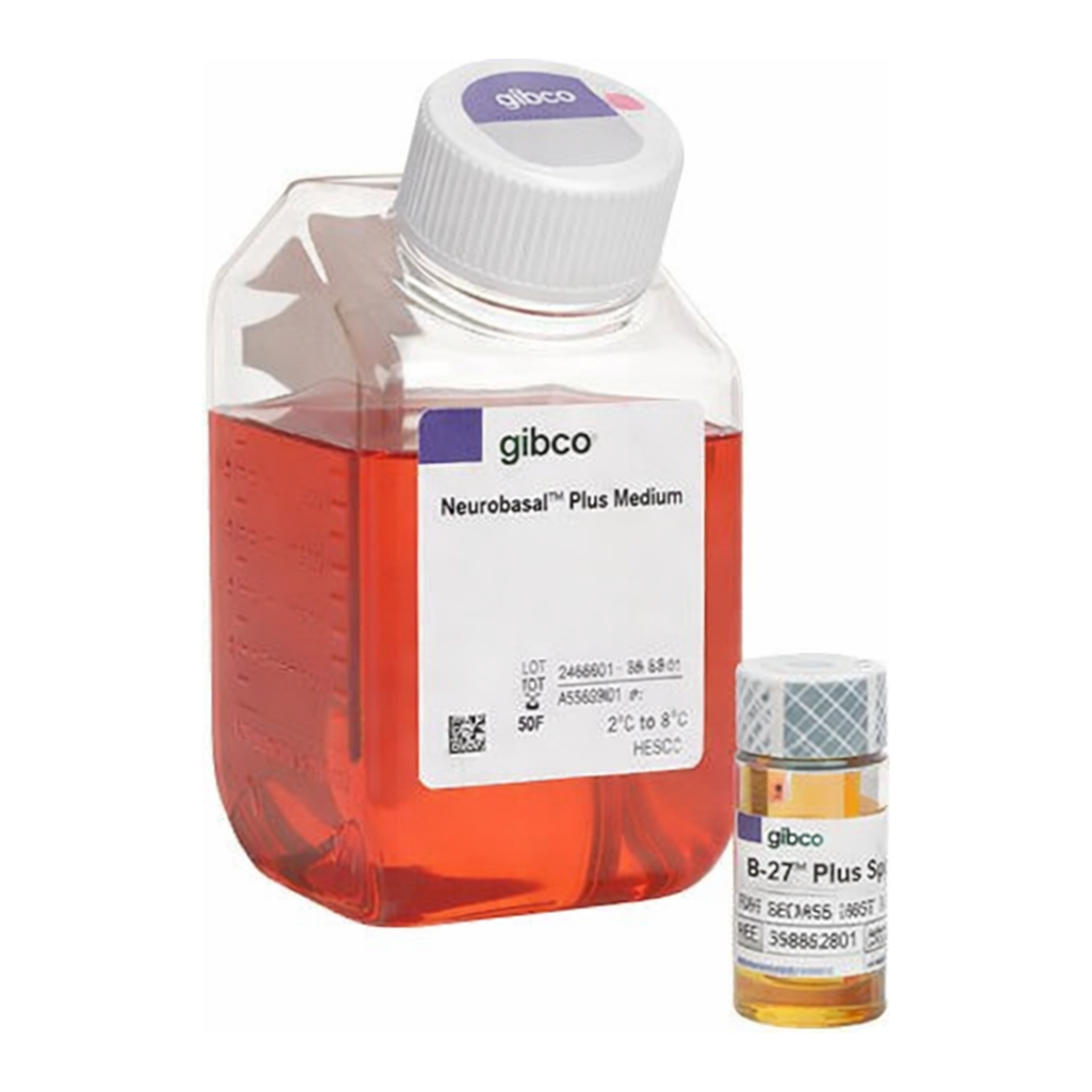 Thermo Fisher Scientific B-27 Plus Neuronal Culture System