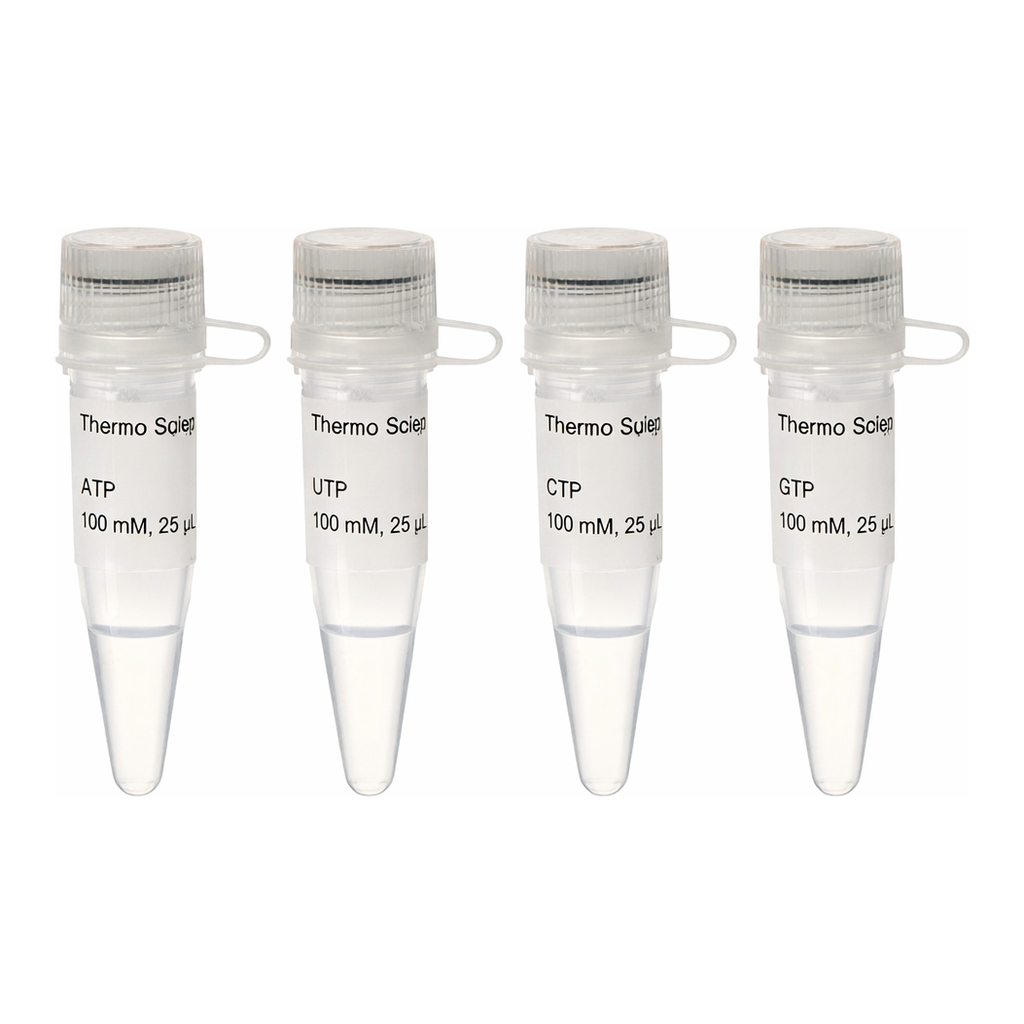 Thermo Fisher Scientific NTP Set, 100 mM Solution
