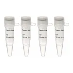 Thermo Fisher Scientific NTP Set, 100 mM Solution