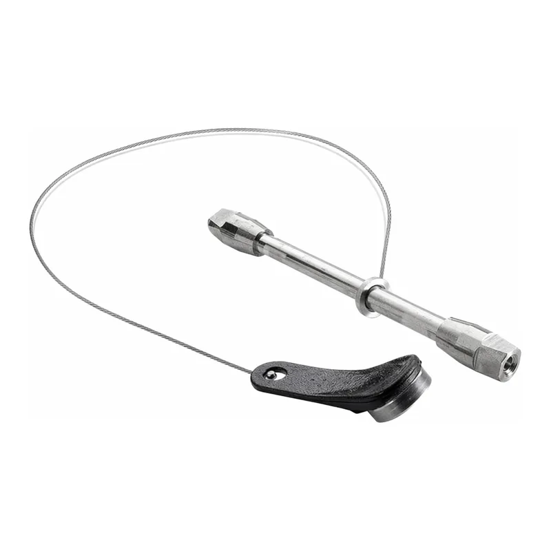 Waters BioResolve SCX mAb Column, 3 µm, 4.6 mm x 50 mm, 1/pk with mAb Charge Variant Standard