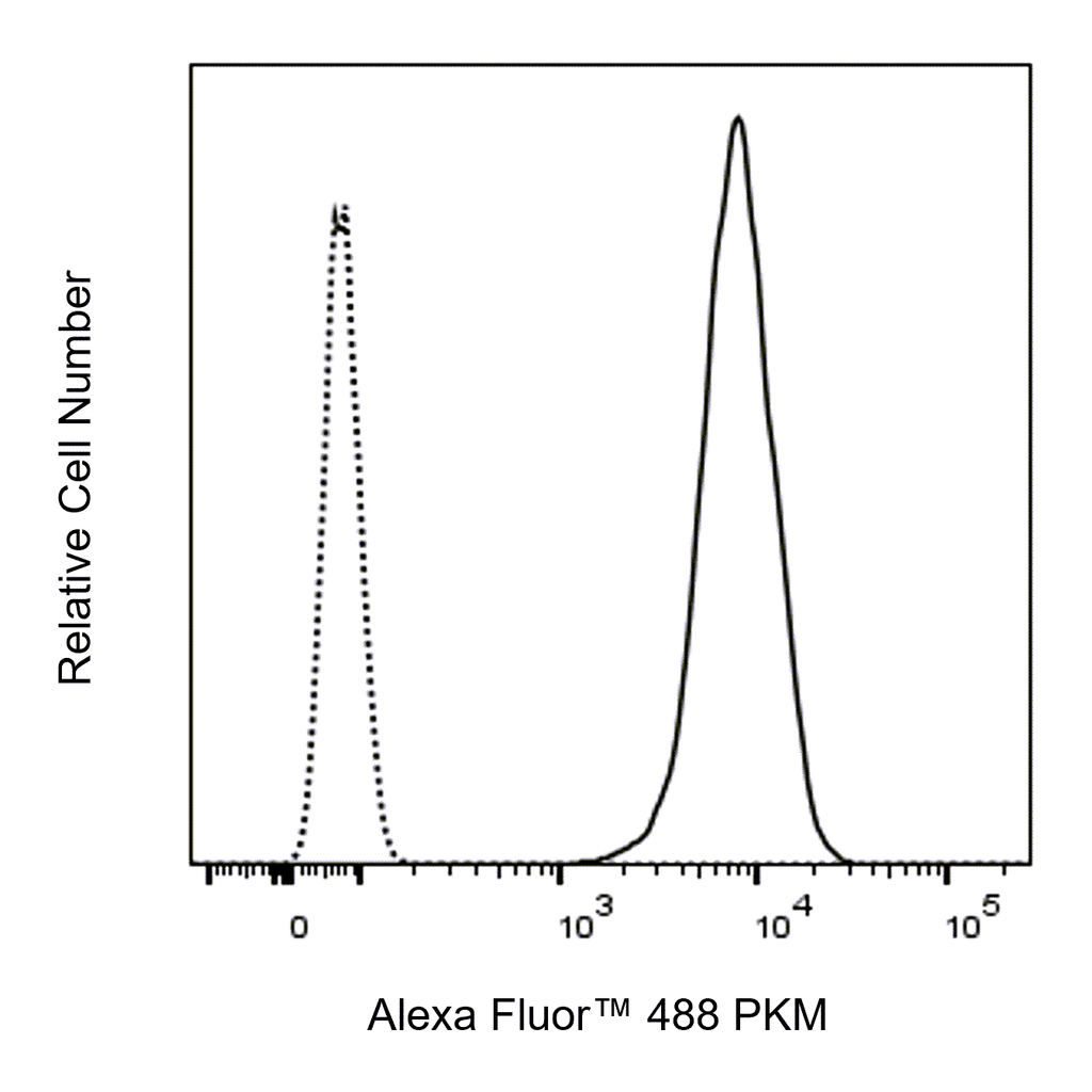 BD Alexa Fluor 488 Rabbit Anti-Human PKM