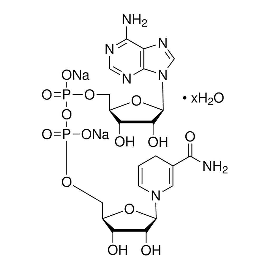 Merck B-NICOTINAMIDE ADENINE DINUCLEOTIDE