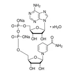 Merck B-NICOTINAMIDE ADENINE DINUCLEOTIDE