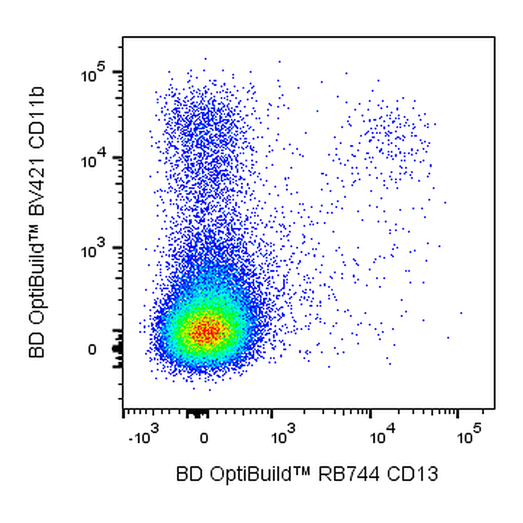 BD RB744 Rat Anti-Mouse CD13