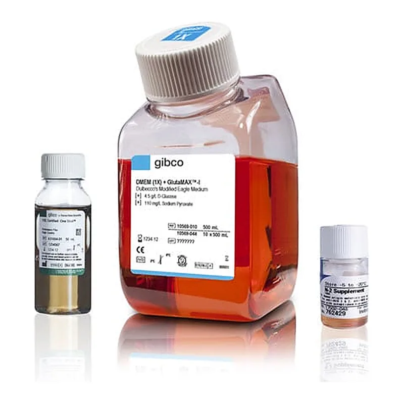 Thermo Fisher Scientific Astrocyte Medium