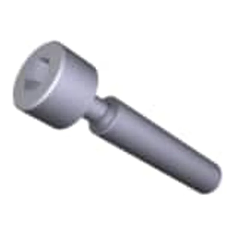 Waters Screw, M8 x 45, Cap Hd, SS