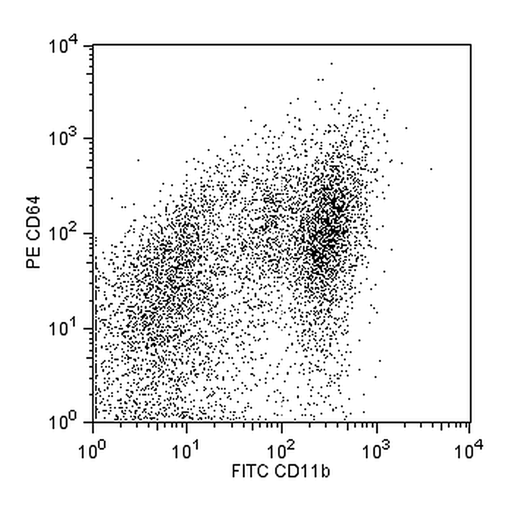 BD PE Mouse anti-Mouse CD64 a and b Alloantigens