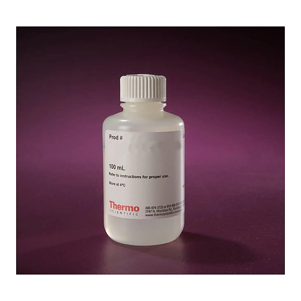 Thermo Fisher Scientific North2South Hybridization Buffer