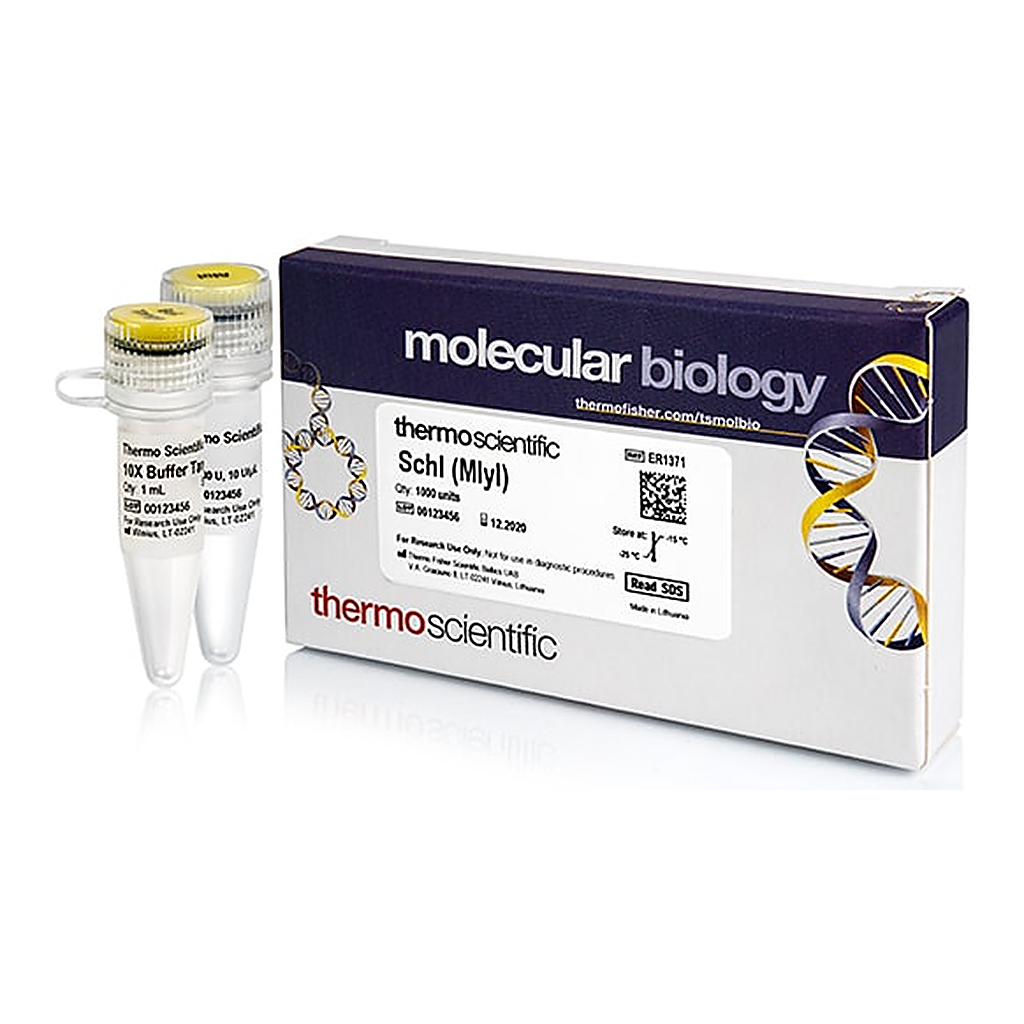 Thermo Fisher Scientific SchI (MlyI) (10 U/&mu;L)