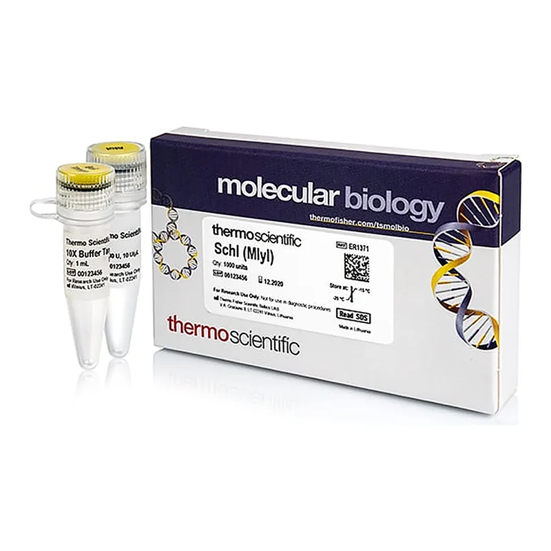 Thermo Fisher Scientific SchI (MlyI) (10 U/μL)