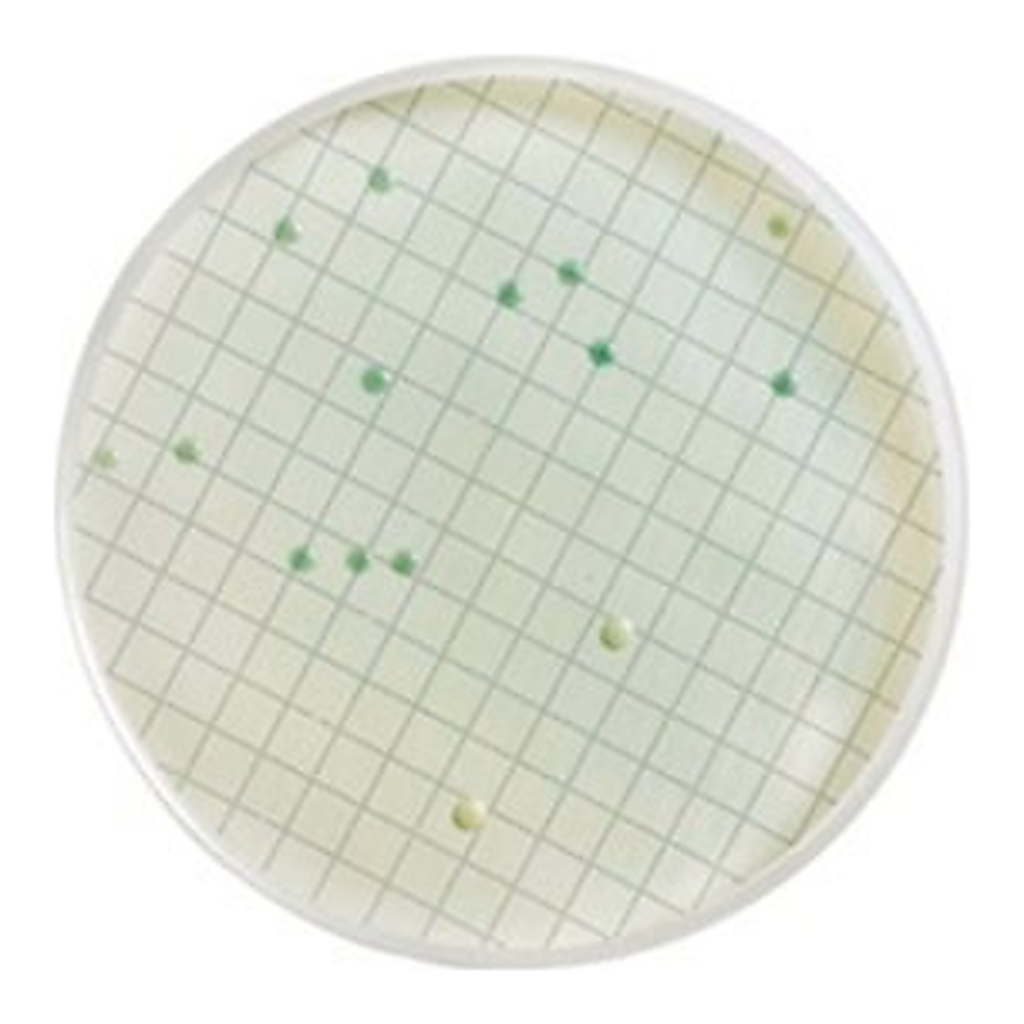 Merck WL Differential AgarNutriSelect Plus