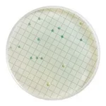 Merck WL Differential AgarNutriSelect Plus